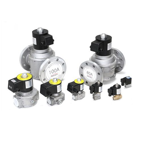 Van điện từ Autosigma HDG-EX 20100F Mặt bích 4″ Coil 220V